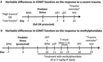 Heritable Differences in Catecholamine Signaling Modulate Susceptibility to Trauma and Response to Methylphenidate Treatment: Relevance for PTSD